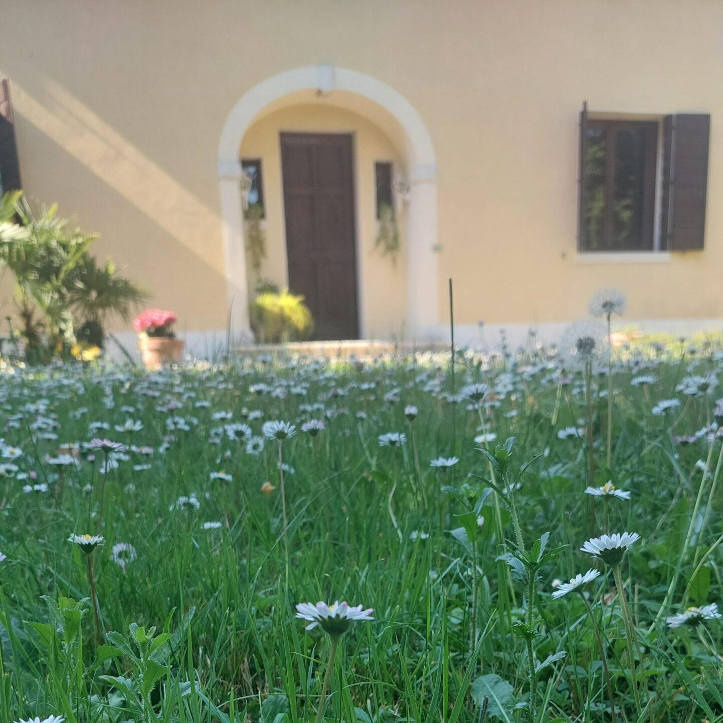 Villa Magnolia Bianca di Treviso
